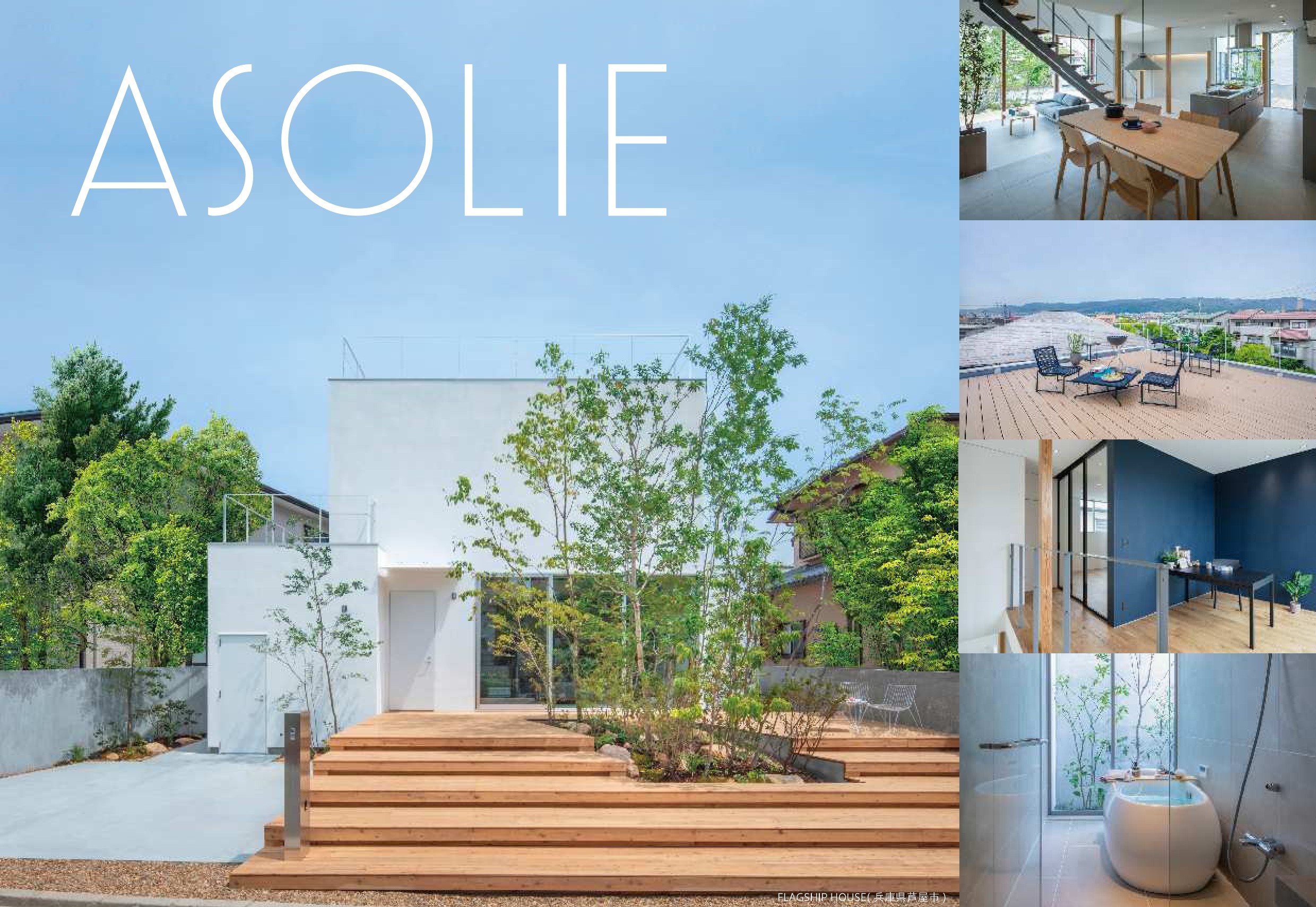 ASOLIEとは
